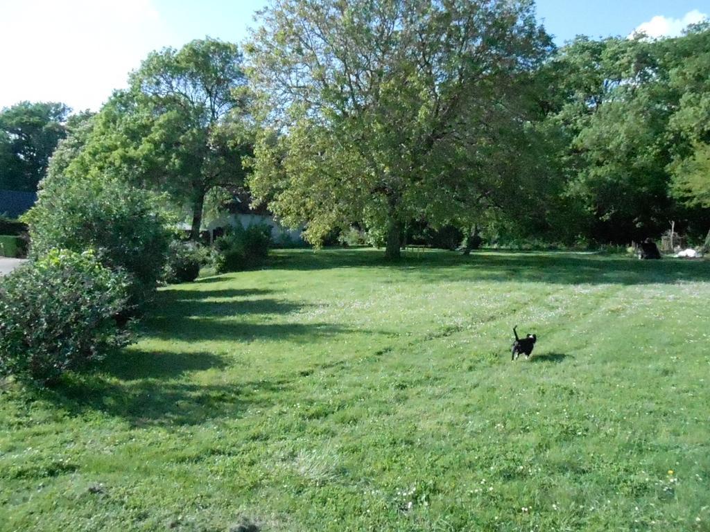 B&B La Ferme Des Bordes Pontlevoy Dış mekan fotoğraf